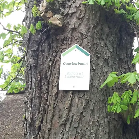 팜스테이 Reetdach Nahe Ostseebad Kuehlungsborn *