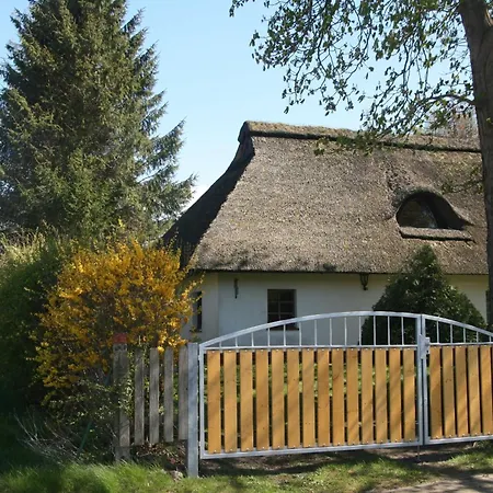 Reetdach Nahe Ostseebad Kuehlungsborn 팜스테이 Gersdorf (Mecklenburg-Vorpommern)