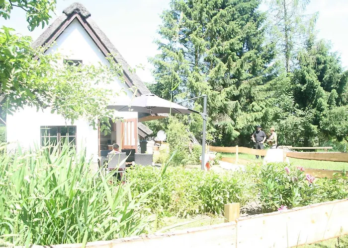 Reetdach Nahe Ostseebad Kuehlungsborn Gersdorf (Mecklenburg-Vorpommern)